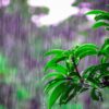 雨の日でも安心！自転車通学のための完全対策ガイド