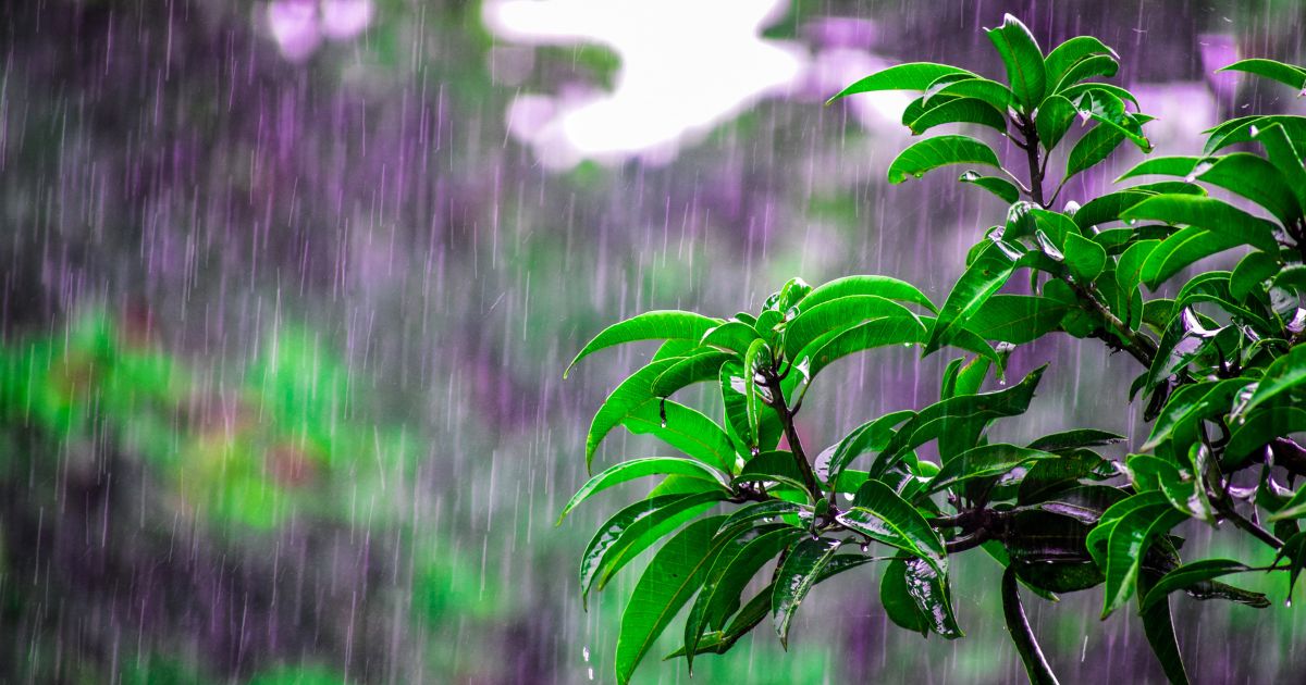 雨の日でも安心！自転車通学のための完全対策ガイド